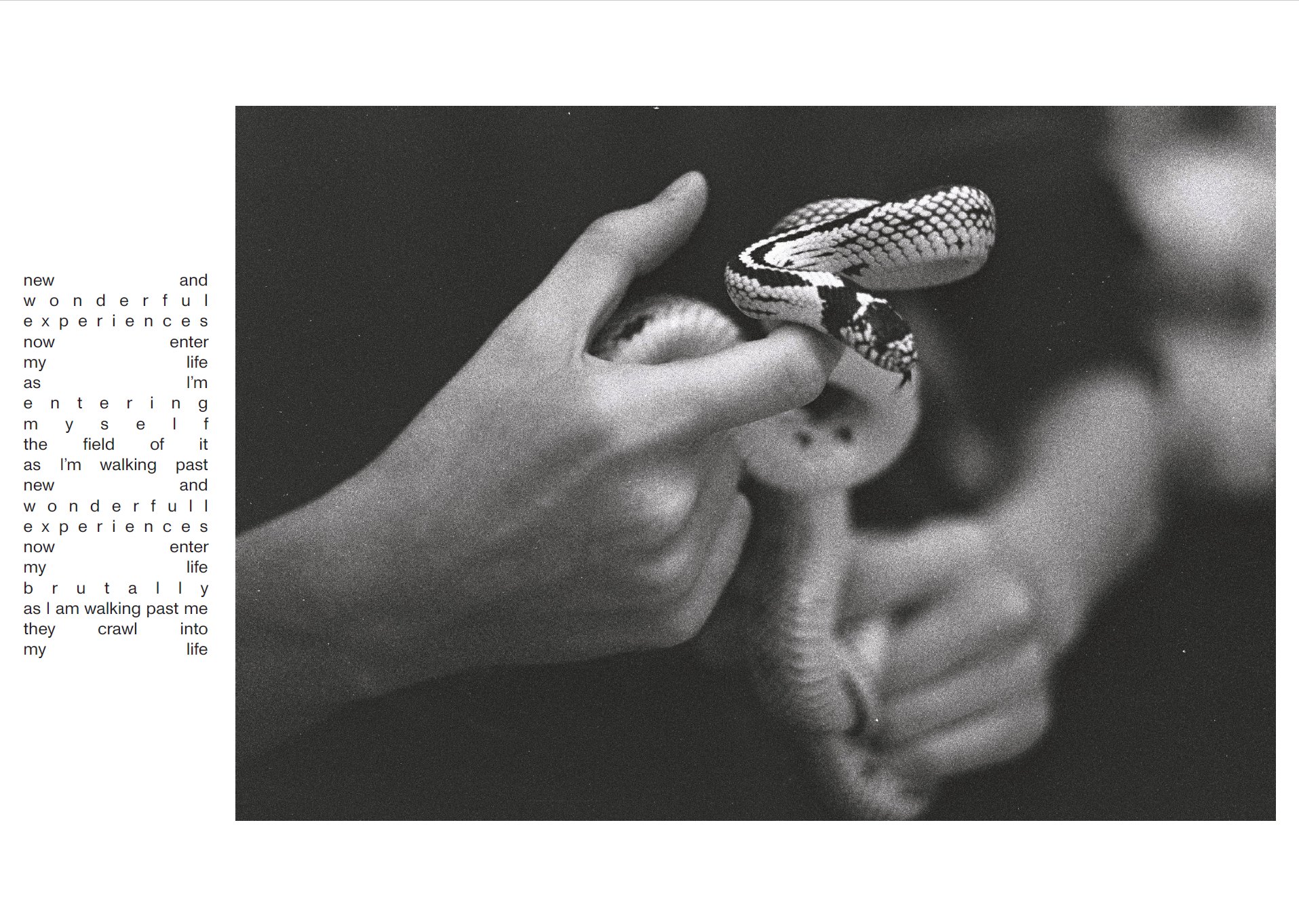 Soft and Warm — pagini interioare