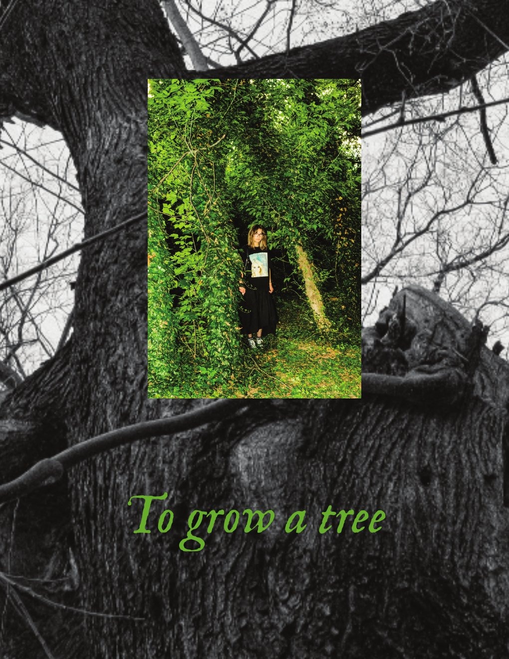To Grow a Tree — copertă