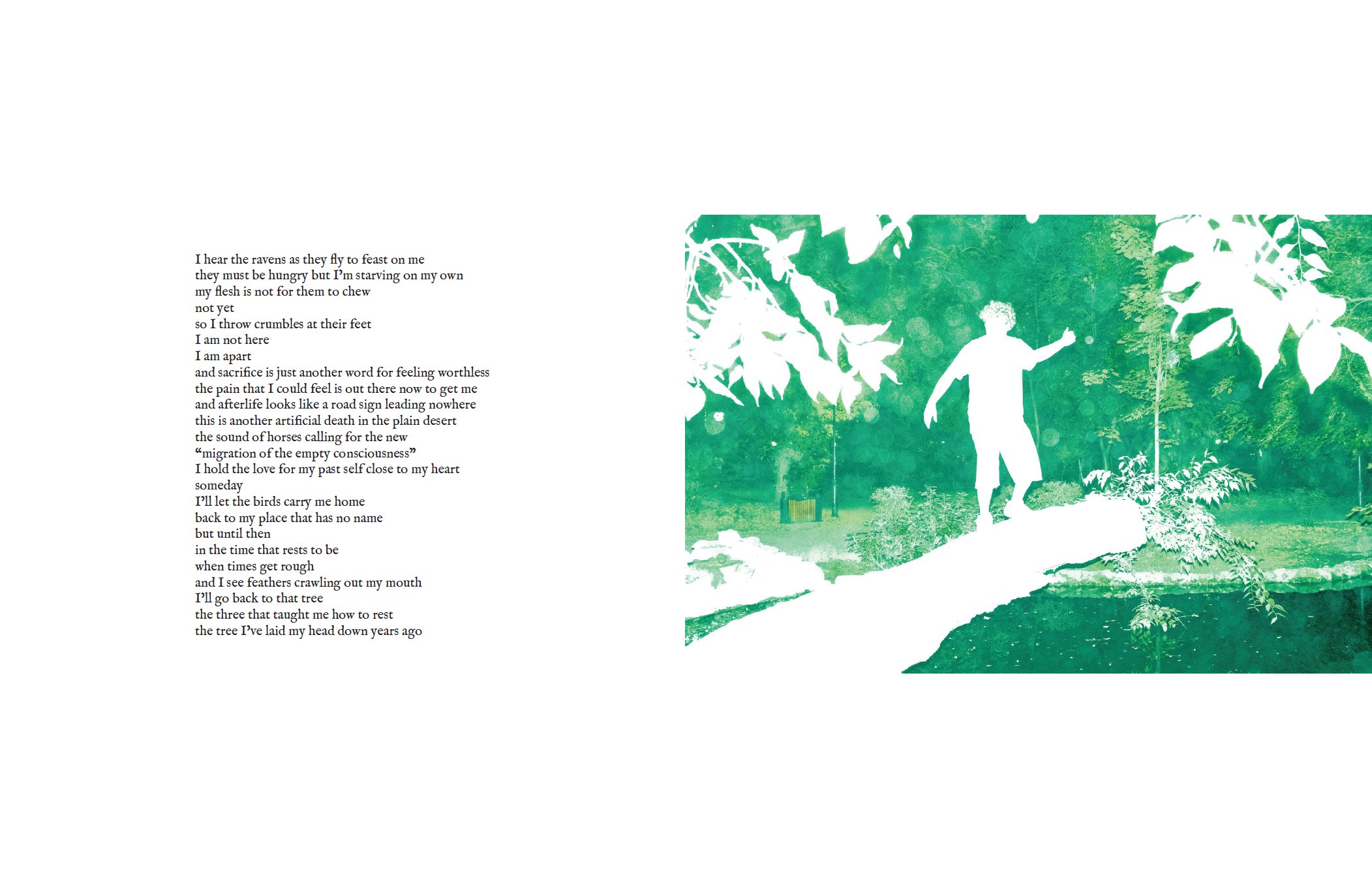 To Grow a Tree — pagini interioare